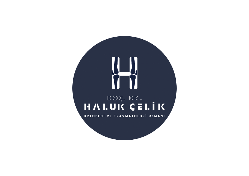 Prof. Dr. Haluk Çelik