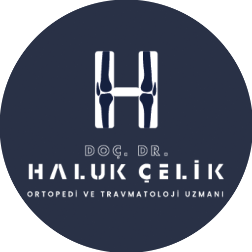 Prof. Dr. Haluk Çelik
